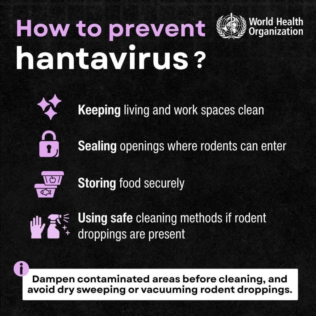 A Who poster indicating ways to prevent the Hantavirus 